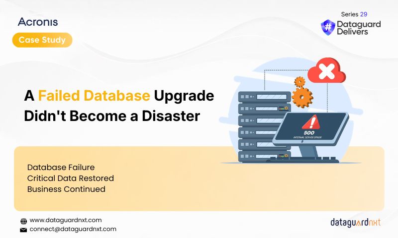 Database Recovery